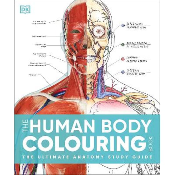 The Human Body Colouring Book image 0