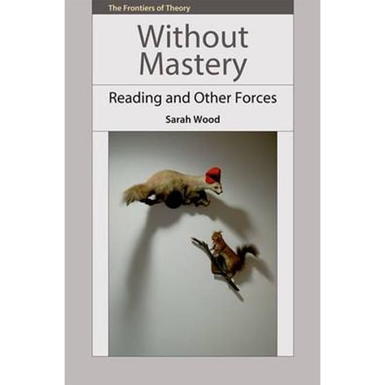 Without Mastery image 0