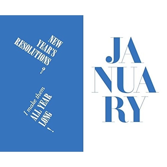 2016 Diary by Karl image 1