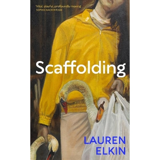 Scaffolding image 0