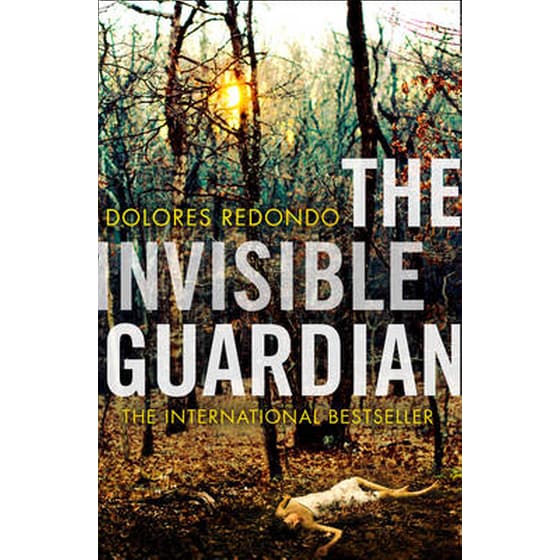 The Invisible Guardian image 0
