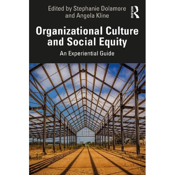 Organizational Culture and Social Equity image 0