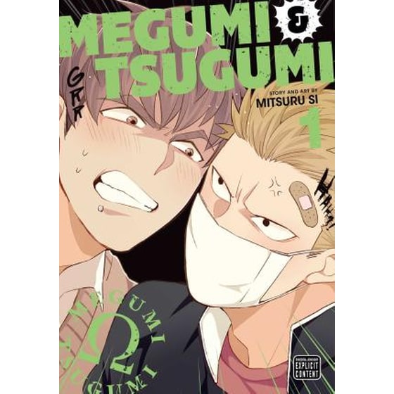 Megumi & Tsugumi, Vol. 1 image 0