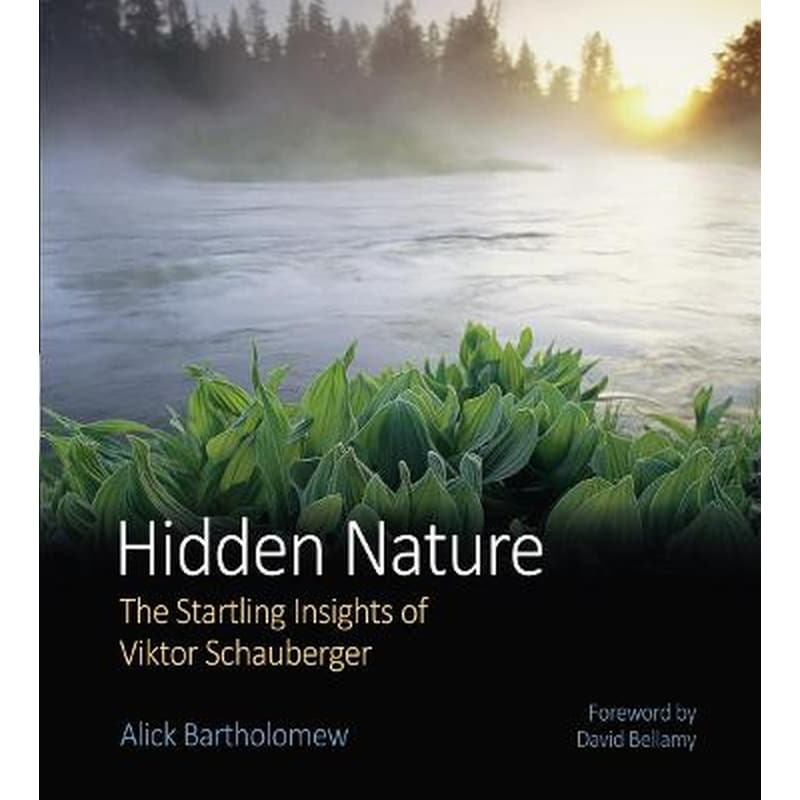 Hidden Nature