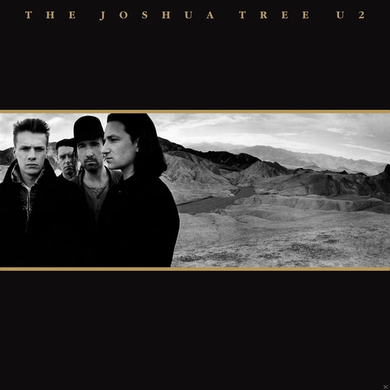 The Joshua Tree image 0