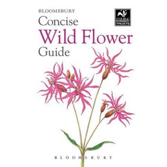 Concise Wild Flower Guide image 0