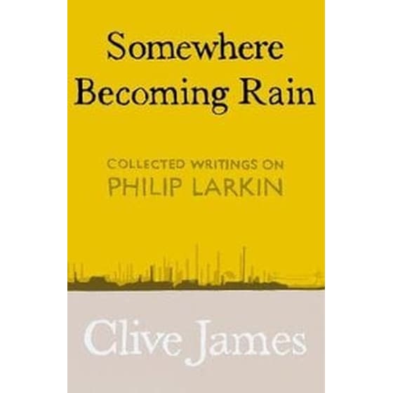 Somewhere Becoming Rain image 0