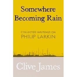Somewhere Becoming Rain