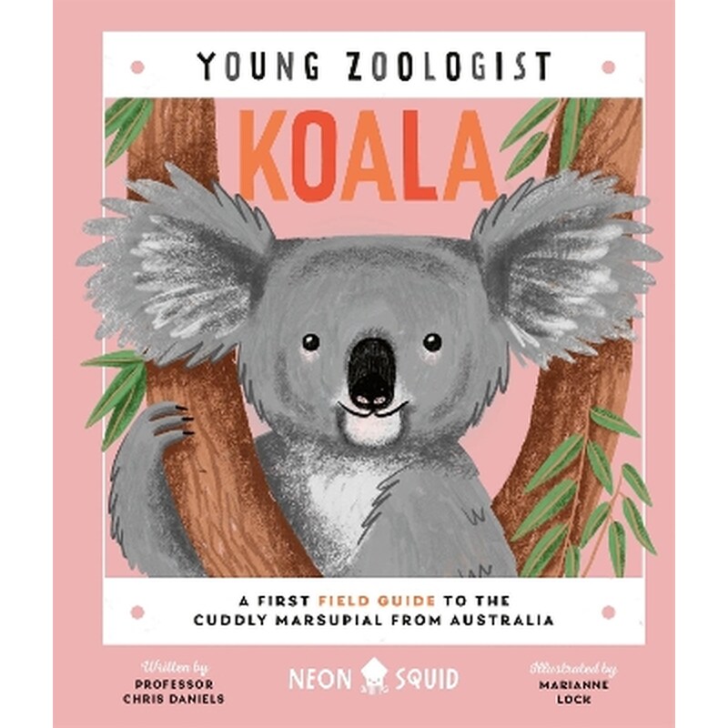Koala (Young Zoologist)