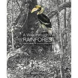 A Walk Through the Rainforest