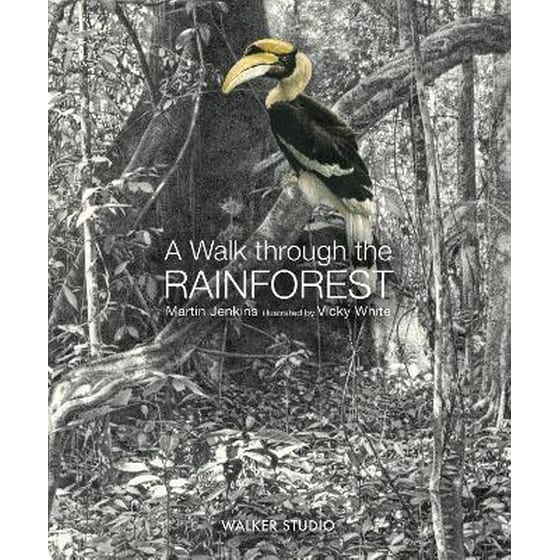 A Walk Through the Rainforest image 0