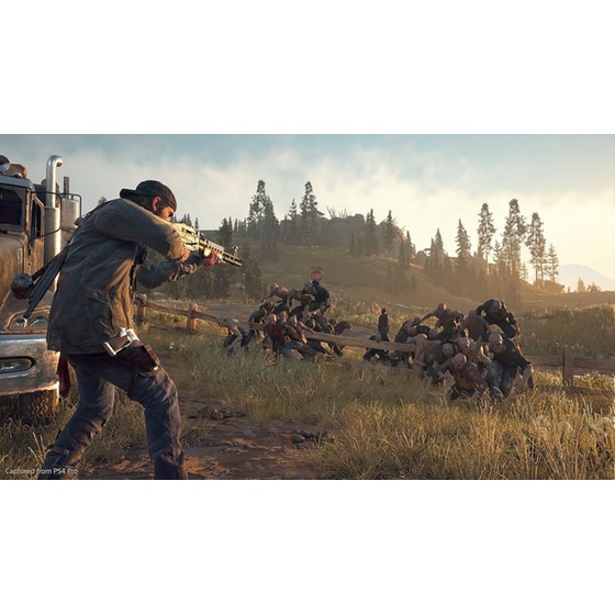 Days Gone - PS4 image 12