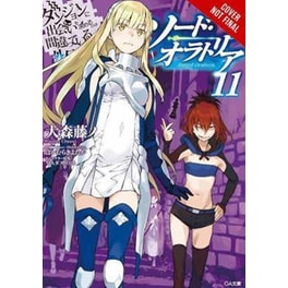 Is It Wrong to Try to Pick Up Girls in a Dungeon? Sword Oratoria, Vol. 11 (light novel)