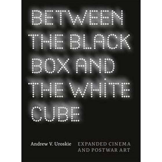 Between the Black Box and the White Cube image 0