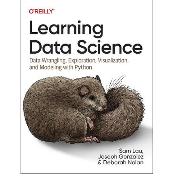 Learning Data Science image 0