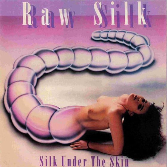 Silk Under The Skin image 0