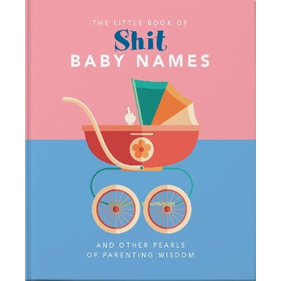 The Little Book of Shit Baby Names image 0