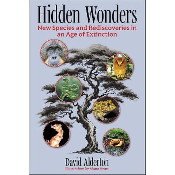 Hidden Wonders image 0