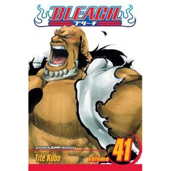 Bleach, Vol. 41 41 image 0