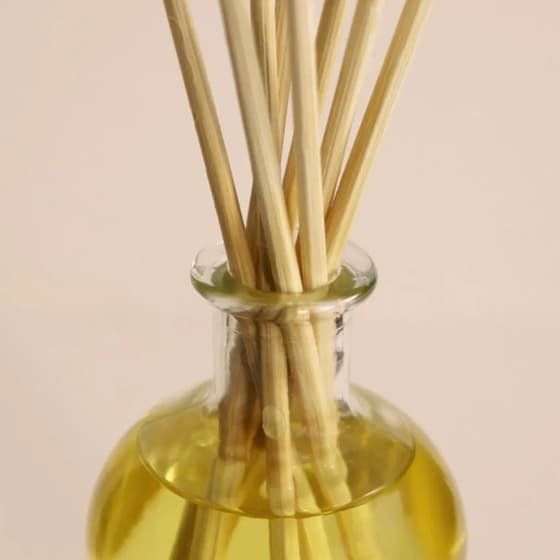 Diffuser Ambientair The Olphactory White Musk 100ml - Relax image 4