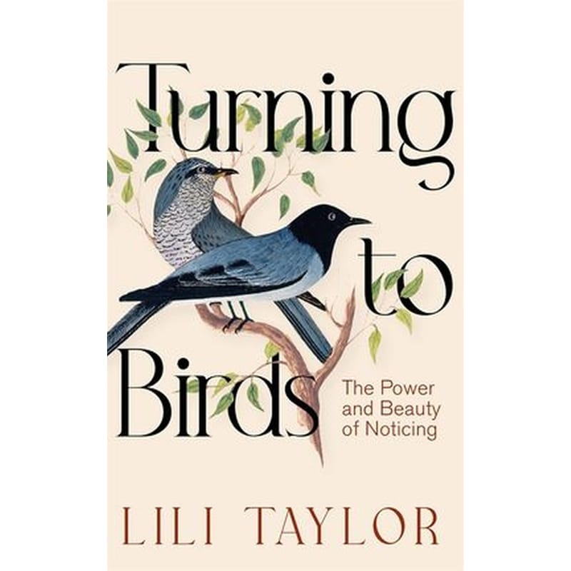 Turning to Birds