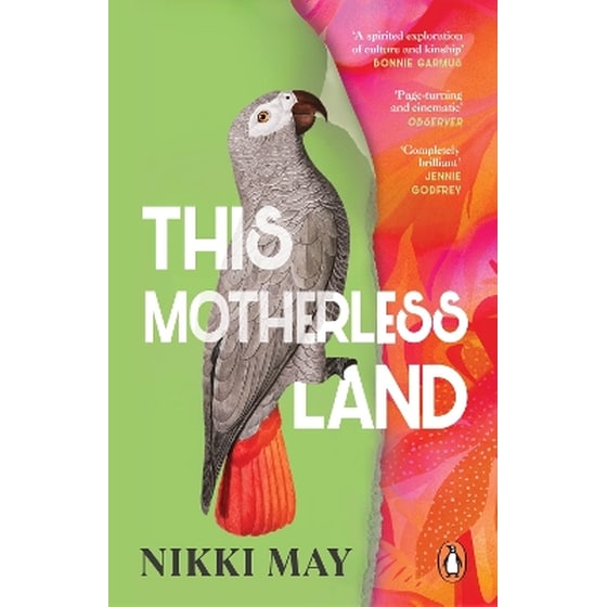 This Motherless Land image 0