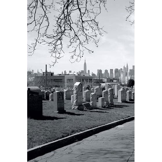 Ζώντες και τεθνεώτες (Συλλεκτική έκδοση) image 0