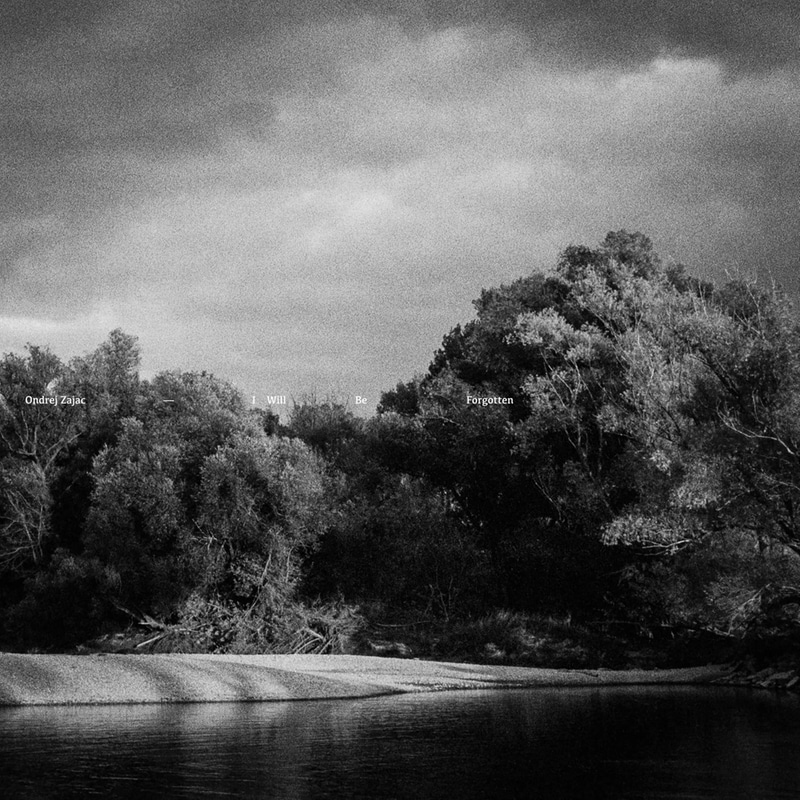 I Will Be Forgotten (LP)