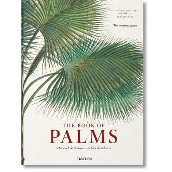Martius. The Book of Palms image 0