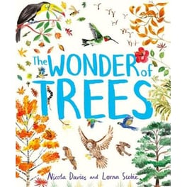 The Wonder of Trees