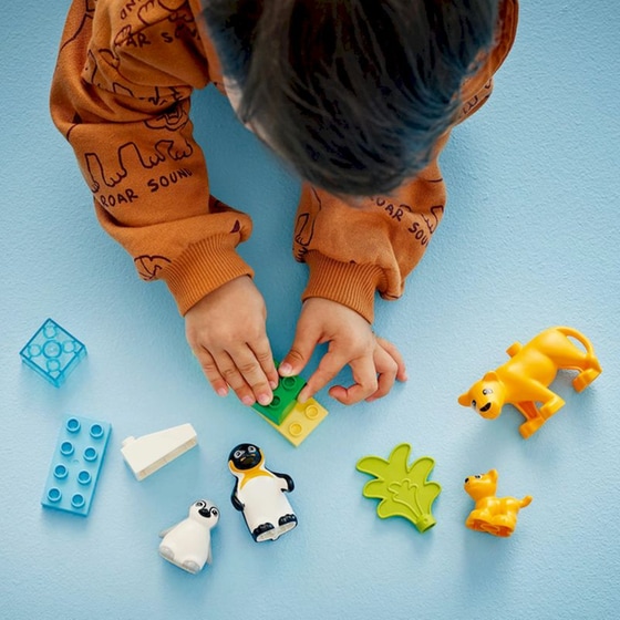 LEGO® DUPLO® Οικογένειες Άγριων Ζώων Πιγκουίνοι & Λιοντάρια (10442) image 1