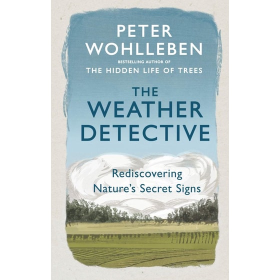 The Weather Detective image 0