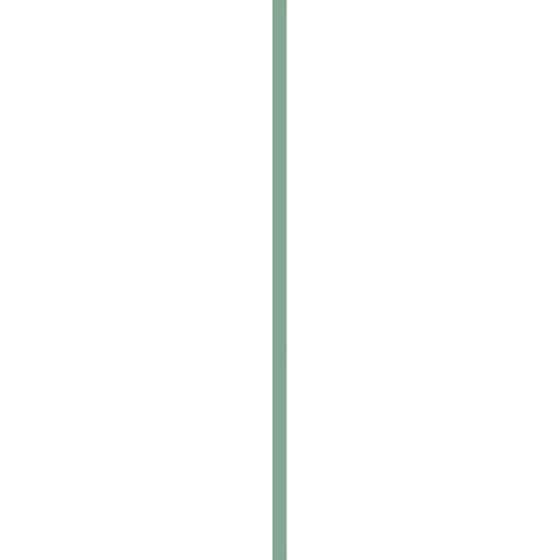 Σημειωματάριο Moleskine Year of the Horse Λευκό L Hardcover Sage Green (1 Τεμάχιο) image 1