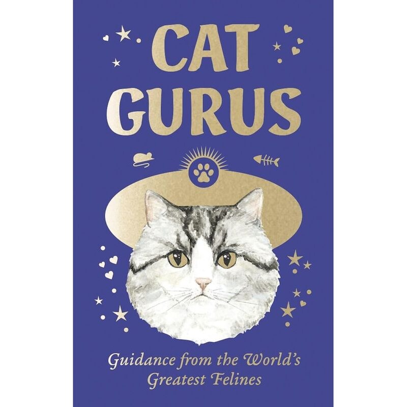 Cat Gurus (Mini Deck)