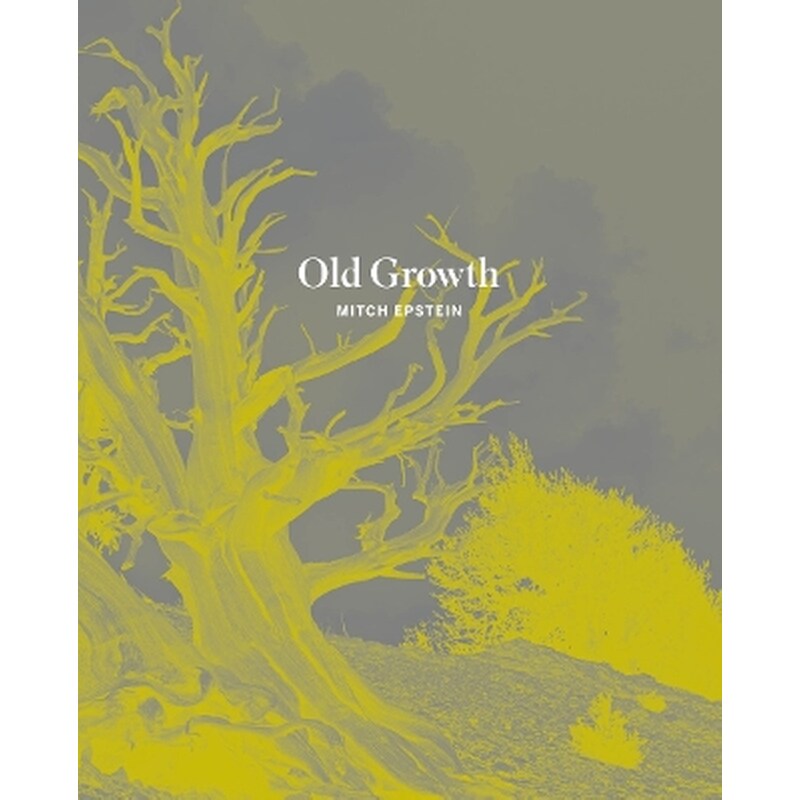 Old Growth