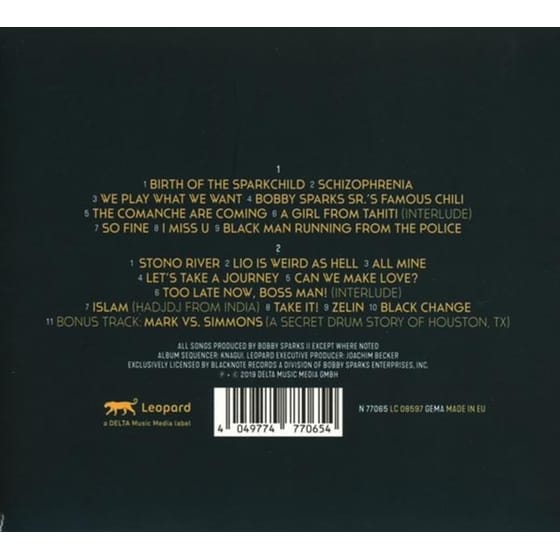 Schizophrenia-The Yang Project image 1