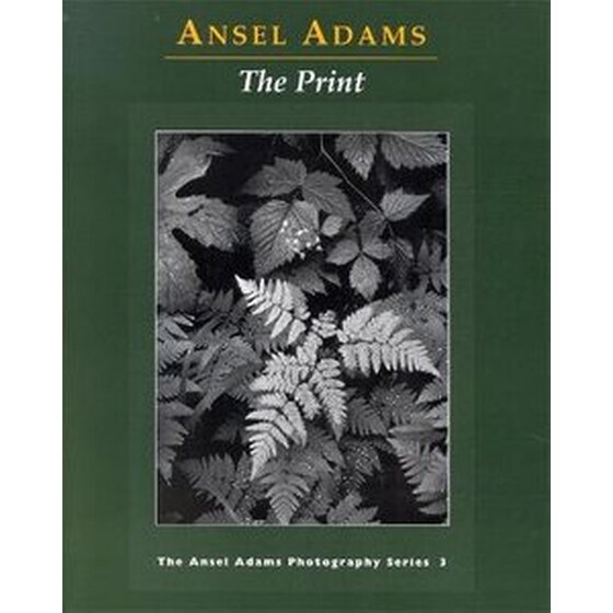 New Photo Series 3: Print image 0