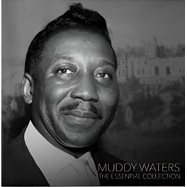 Muddy Waters - The Essential Collection (LP)