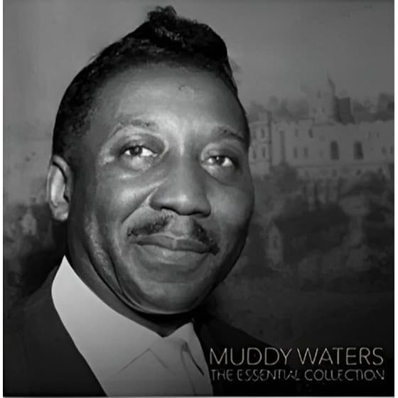 Muddy Waters - The Essential Collection (LP) image 0
