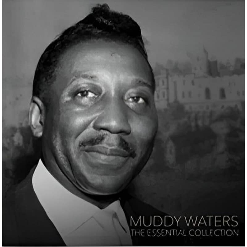 Muddy Waters - The Essential Collection (LP)