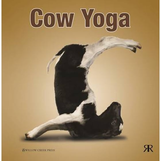 Cow Yoga image 0