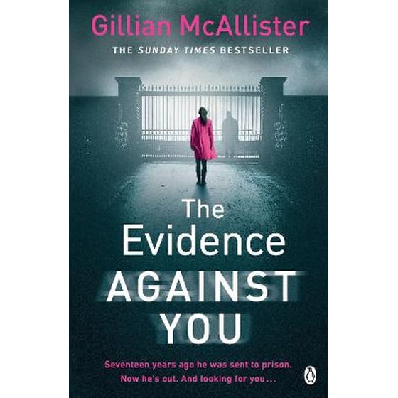 The Evidence Against You image 0