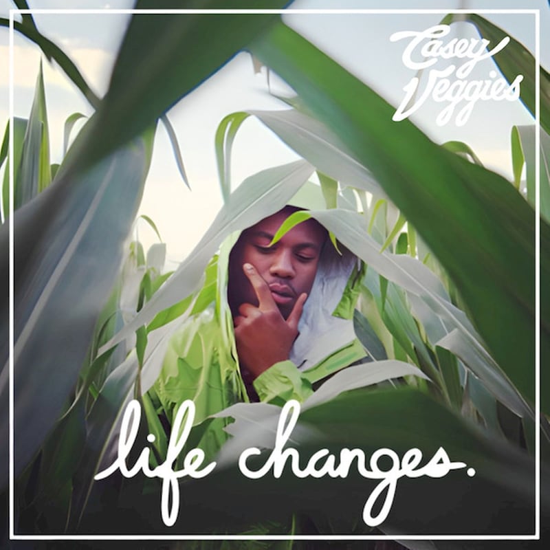 Life Changes (2LP)
