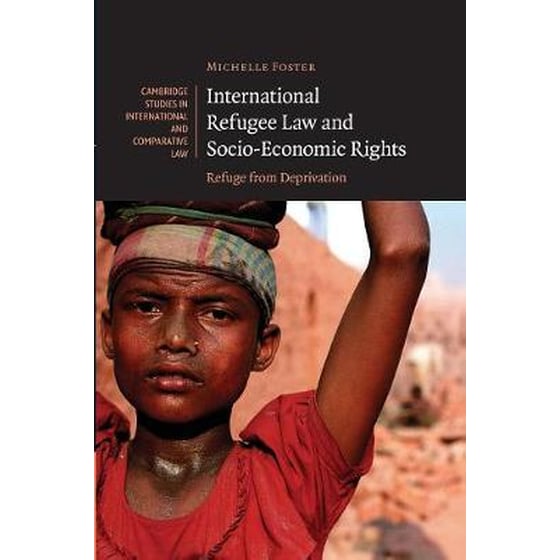 International Refugee Law and Socio-Economic Rights image 0