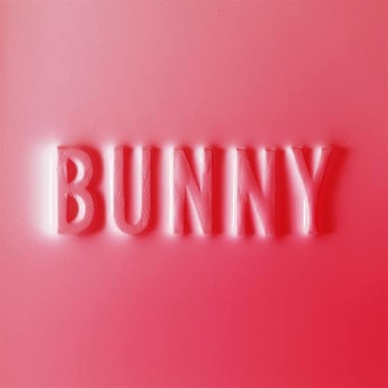 Bunny image 0