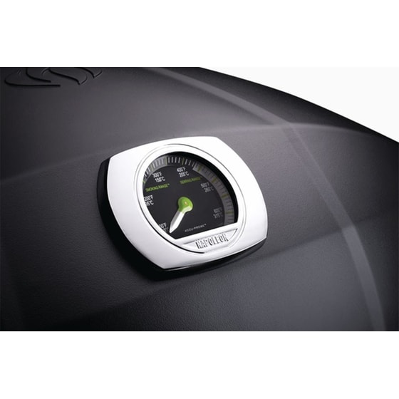 Φορητή Ηλεκτρική Ψησταριά NAPOLEON TravelQ PRO285E PRO285E-BK-GR 2.200 W Μαύρο image 8