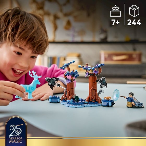 LEGO® Harry Potter™ Απαγορευμένο Δάσος: Expecto Patronum (76475) image 14