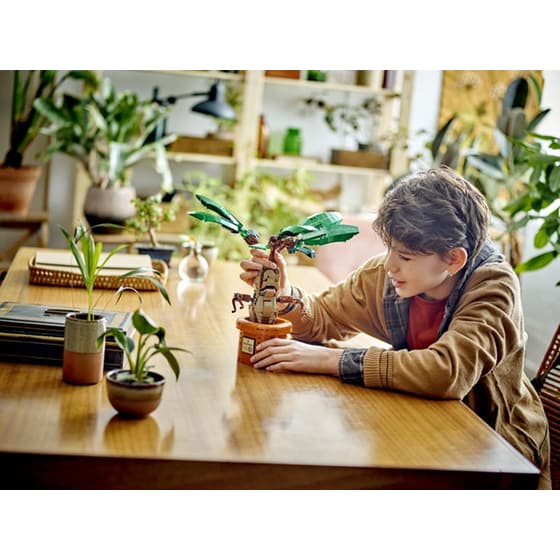 LEGO® Harry Potter Mandrake (76433) image 5