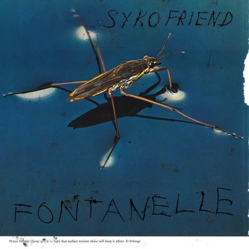 Fontanelle