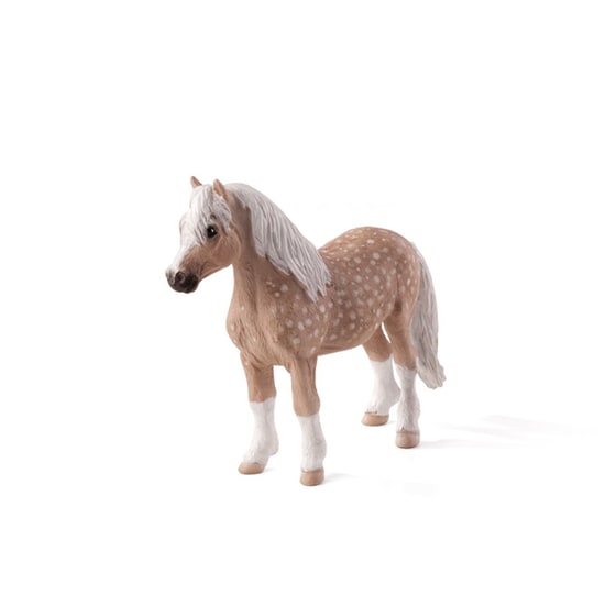 Πόνυ Welsh Animal Planet (L) image 0